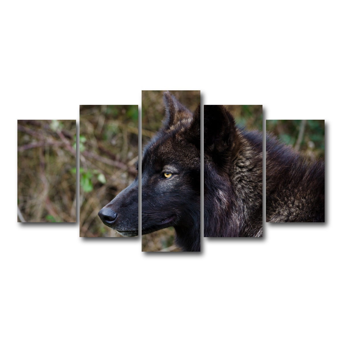 AUTO-MOCKUP WHITE | Female Black Wolf | 5 Piece | Gallery Wrap Canvas | group=5_normal