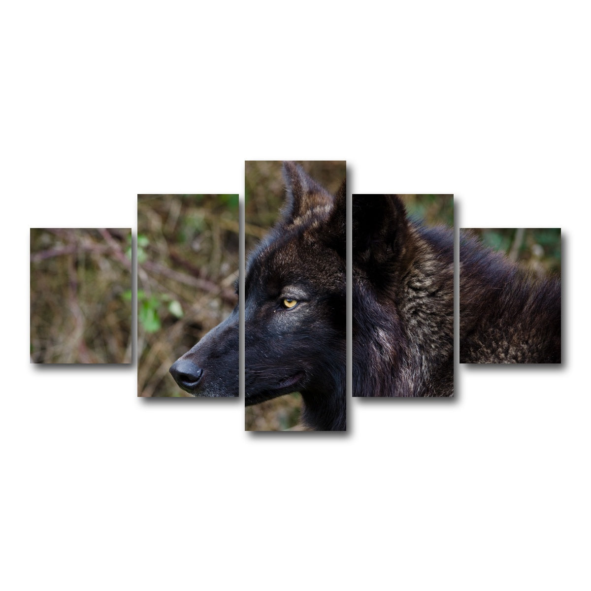 AUTO-MOCKUP WHITE | Female Black Wolf | 5 Piece | Gallery Wrap Canvas | group=5_short