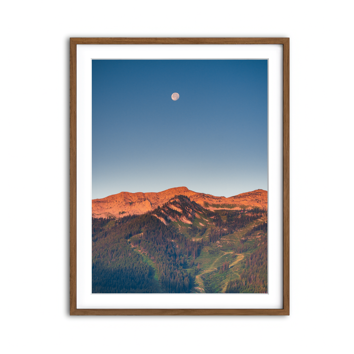 Framed Print 3x4 Walnut