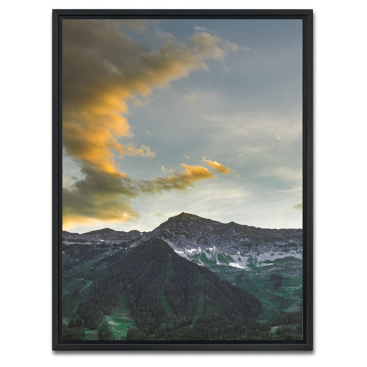 AUTO-MOCKUP WHITE | Fernie | 1 Piece | Black Framed Canvas | group=3x4