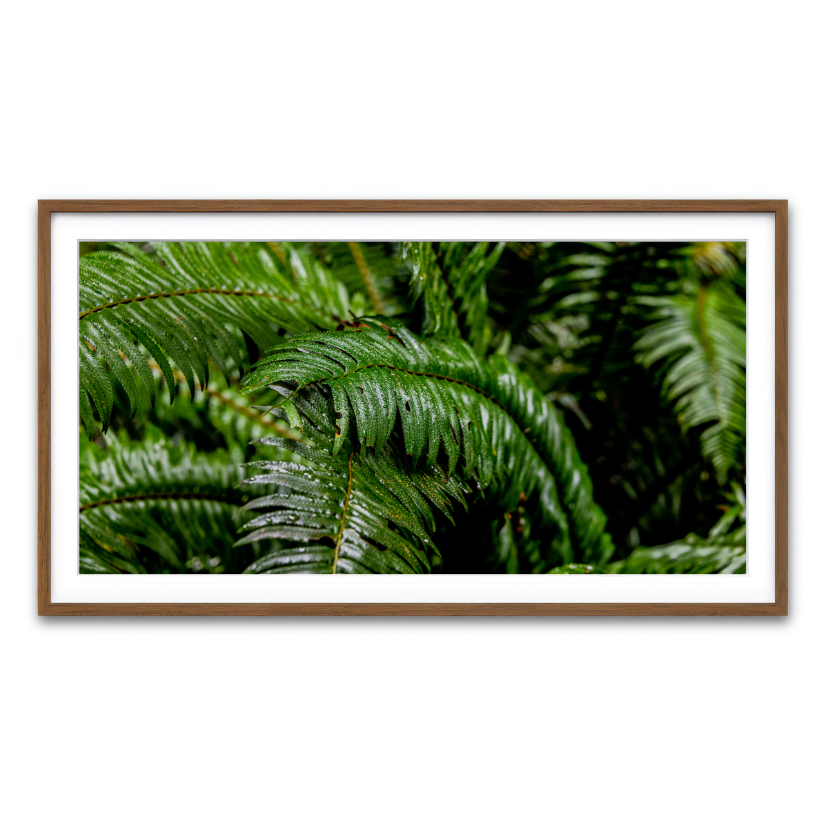 Framed Print 2x1 Walnut
