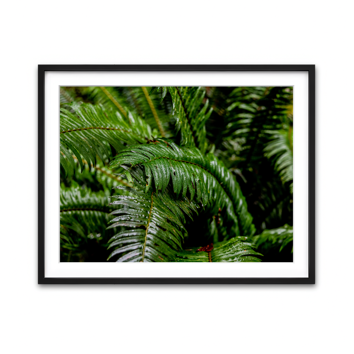Framed Print 4x3 Black