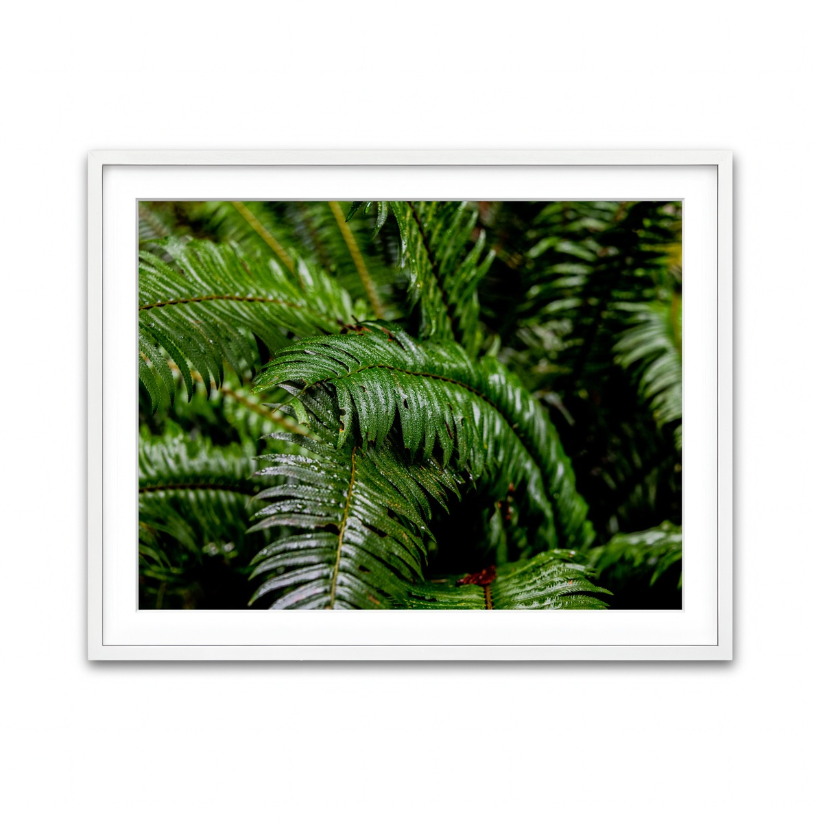 Framed Print 4x3 White