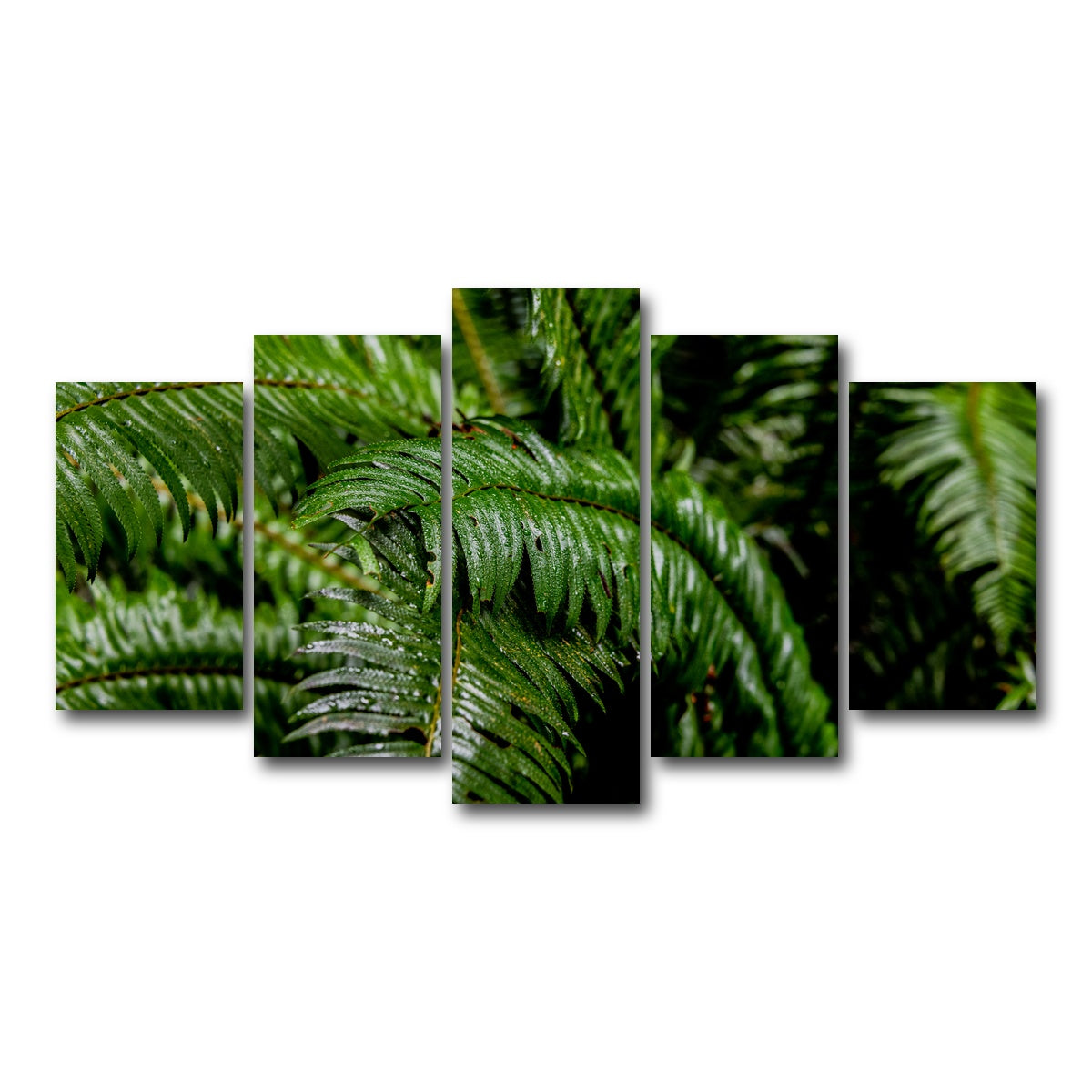 AUTO-MOCKUP WHITE | Ferns | 5 Piece | Gallery Wrap Canvas | group=5_normal