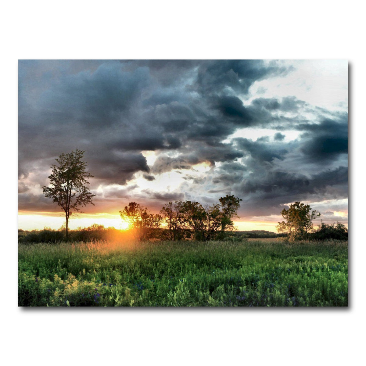 AUTO-MOCKUP WHITE | Field & Sunset | 1 Piece | Gallery Wrap Canvas | group=4x3