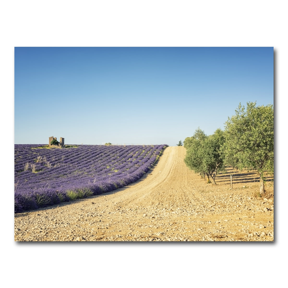 AUTO-MOCKUP WHITE | Fields In Provence | 1 Piece | Gallery Wrap Canvas | group=4x3