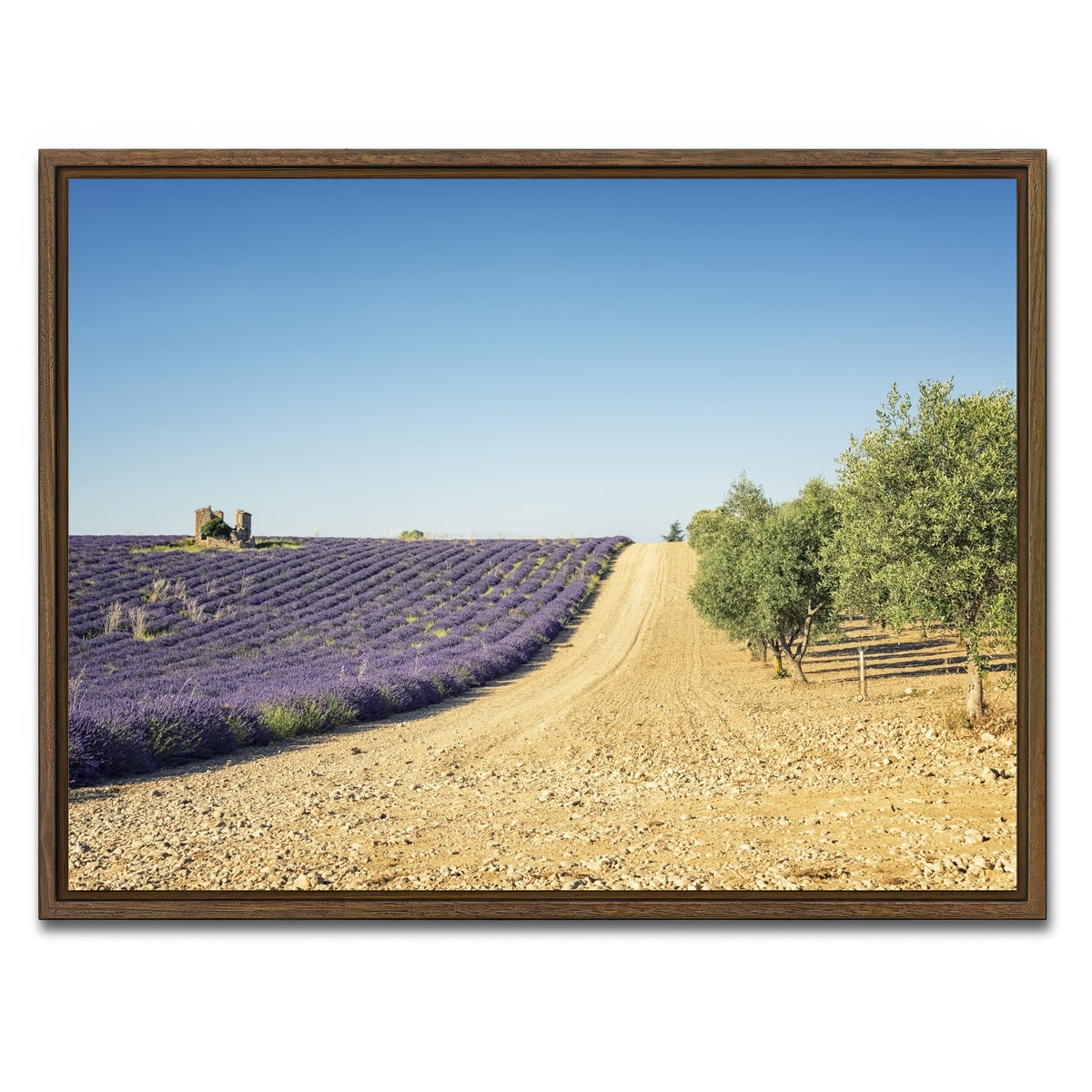 AUTO-MOCKUP WHITE | Fields In Provence | 1 Piece | Walnut Framed Canvas | group=4x3