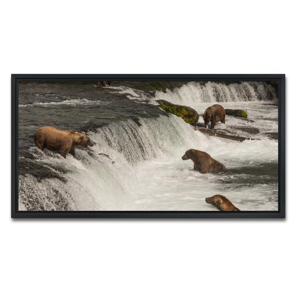 AUTO-MOCKUP WHITE | Five bears salmon fishing | 1 Piece | Black Framed Canvas | group=2x1