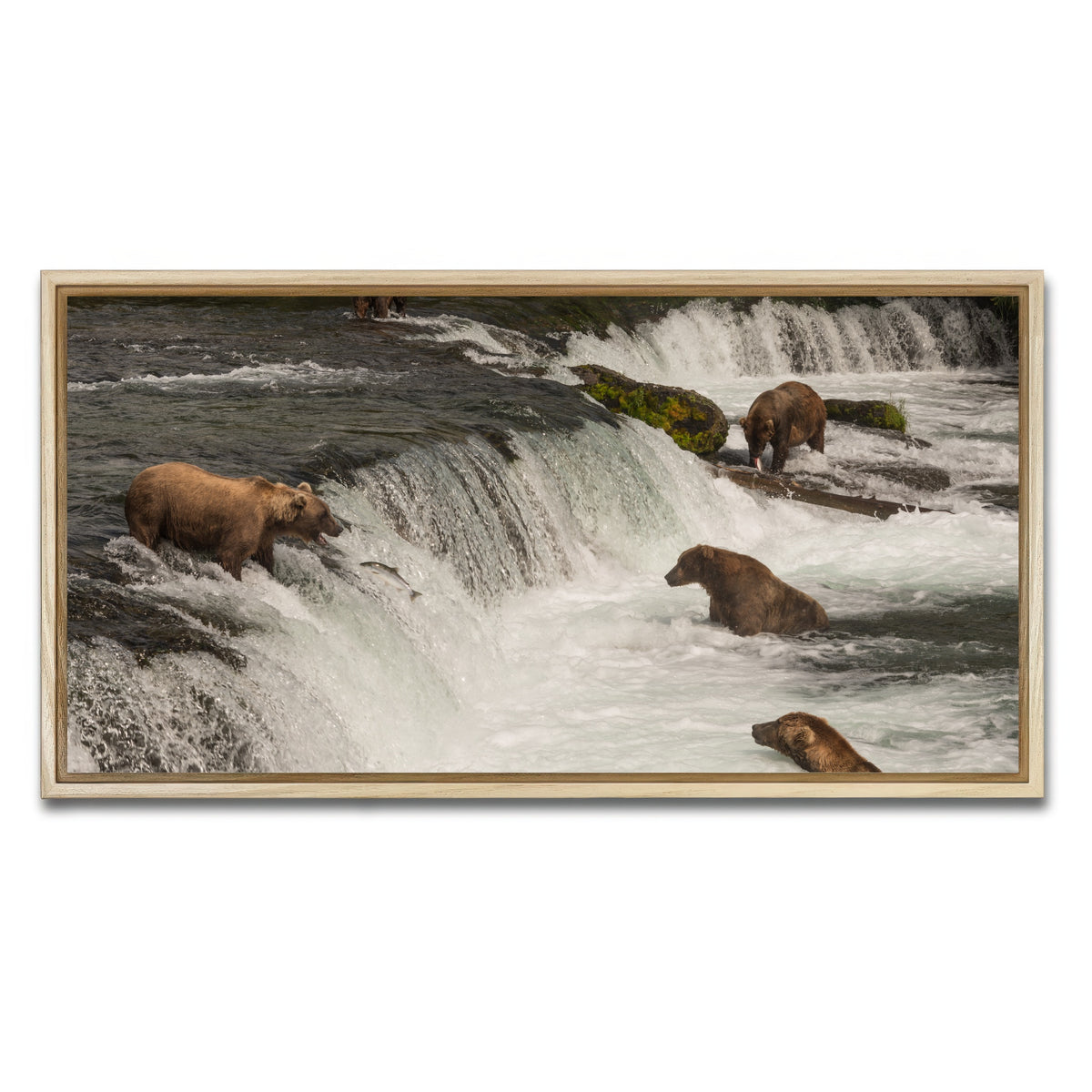 AUTO-MOCKUP WHITE | Five bears salmon fishing | 1 Piece | Natural Framed Canvas | group=2x1