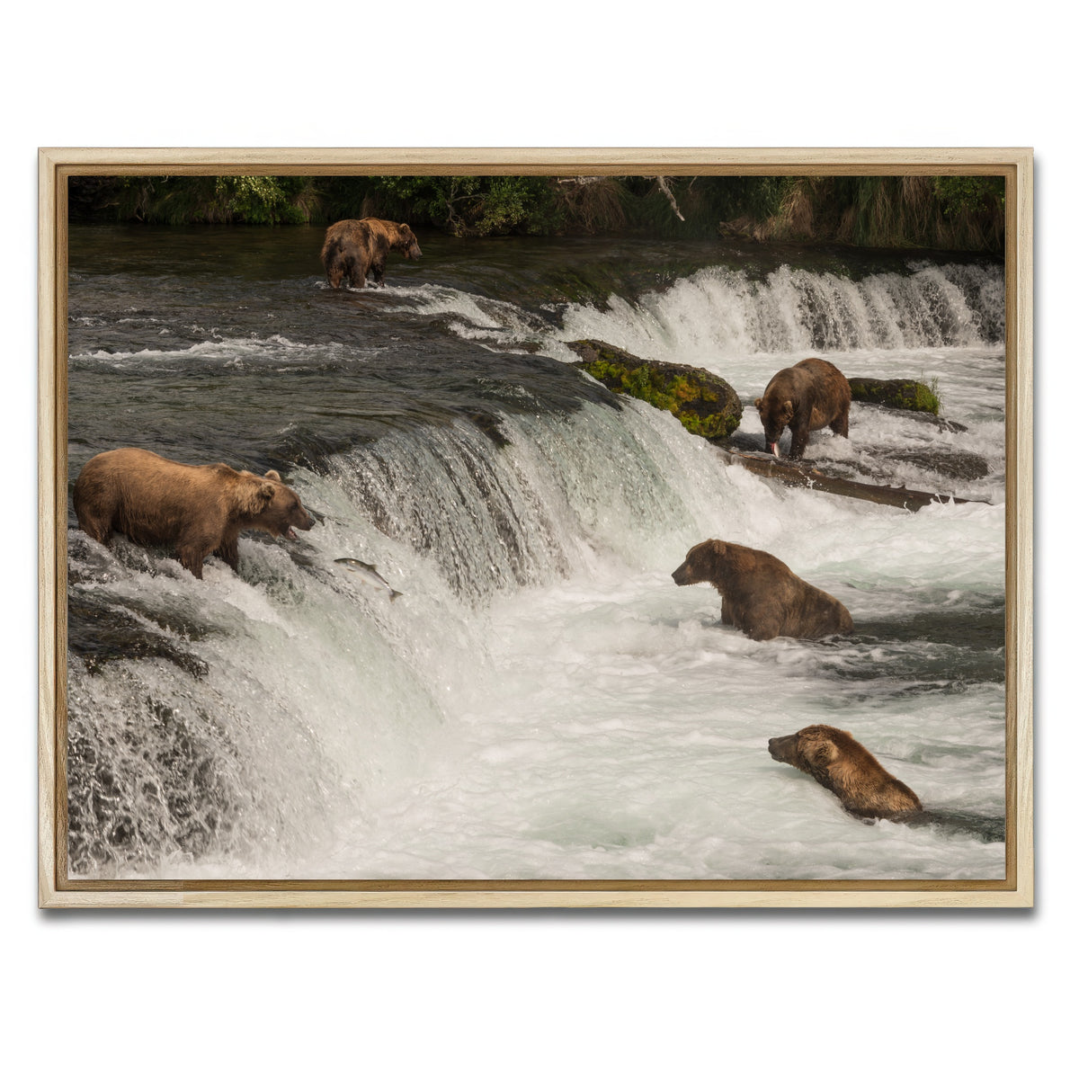AUTO-MOCKUP WHITE | Five bears salmon fishing | 1 Piece | Natural Framed Canvas | group=4x3