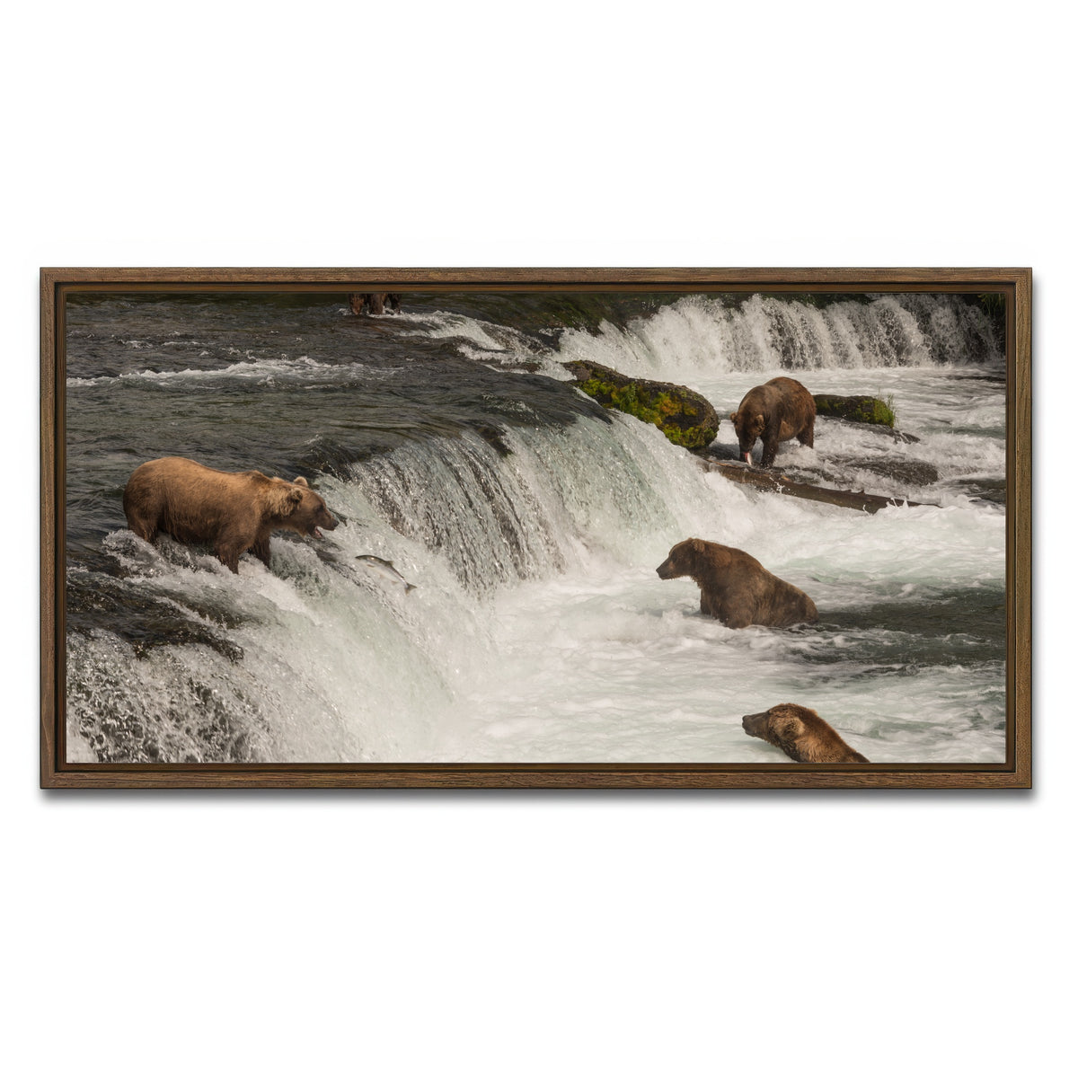 AUTO-MOCKUP WHITE | Five bears salmon fishing | 1 Piece | Walnut Framed Canvas | group=2x1