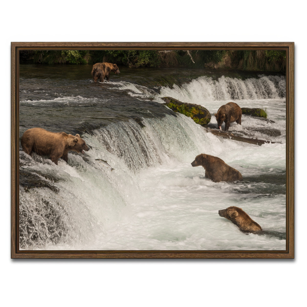 AUTO-MOCKUP WHITE | Five bears salmon fishing | 1 Piece | Walnut Framed Canvas | group=4x3