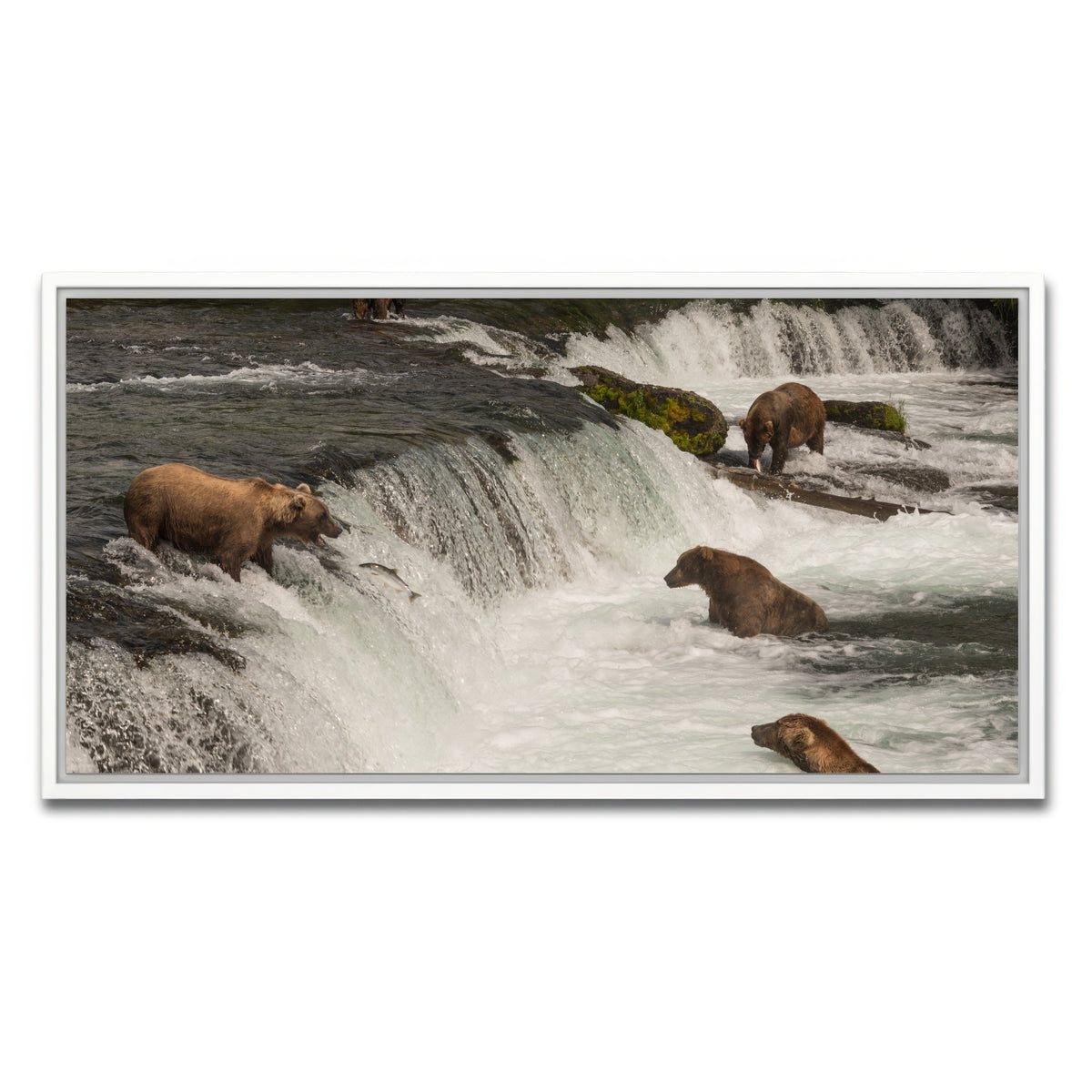 AUTO-MOCKUP WHITE | Five bears salmon fishing | 1 Piece | White Framed Canvas | group=2x1