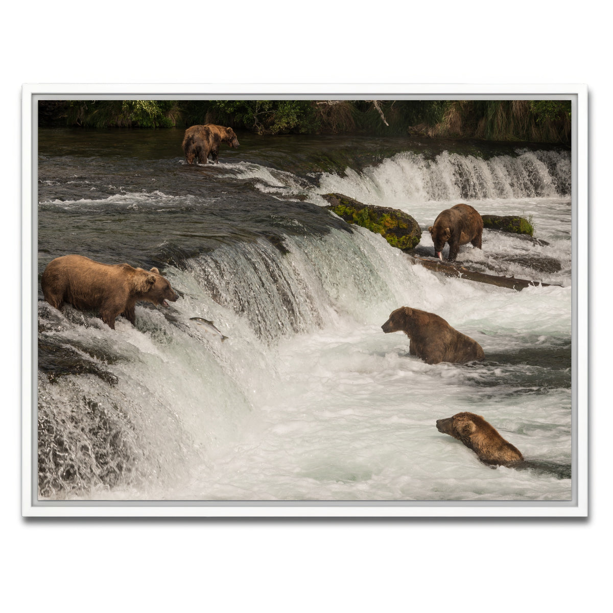 AUTO-MOCKUP WHITE | Five bears salmon fishing | 1 Piece | White Framed Canvas | group=4x3