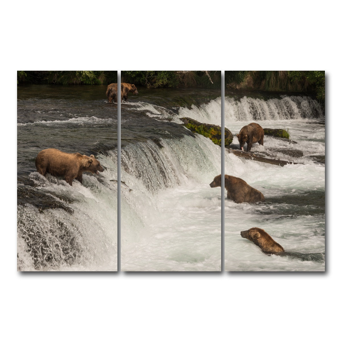 AUTO-MOCKUP WHITE | Five bears salmon fishing | 3 Piece | Gallery Wrap Canvas | group=12x24