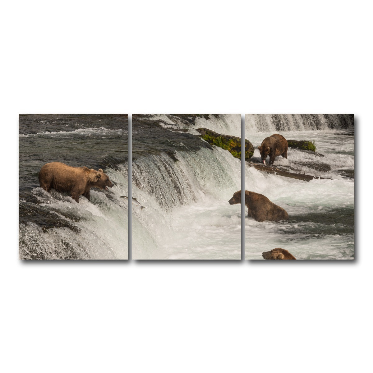 AUTO-MOCKUP WHITE | Five bears salmon fishing | 3 Piece | Gallery Wrap Canvas | group=18x24