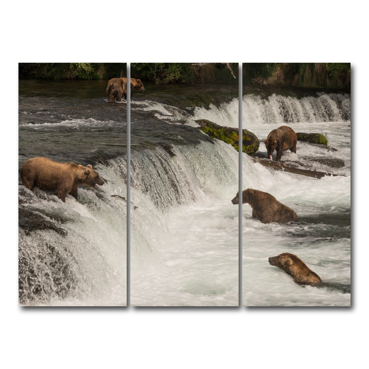 AUTO-MOCKUP WHITE | Five bears salmon fishing | 3 Piece | Gallery Wrap Canvas | group=8x18