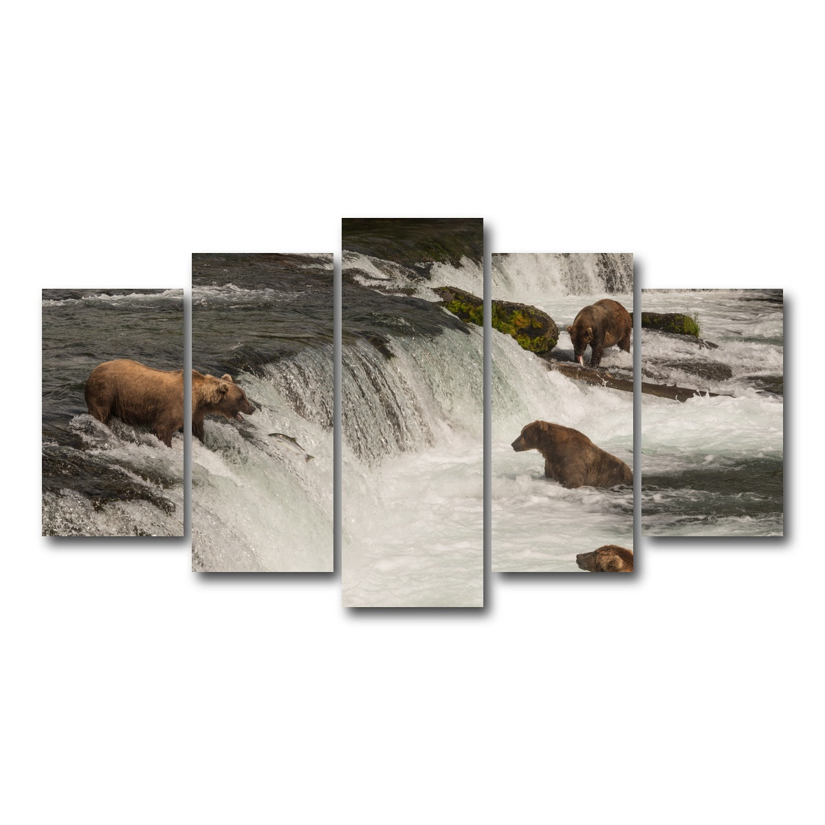 AUTO-MOCKUP WHITE | Five bears salmon fishing | 5 Piece | Gallery Wrap Canvas | group=5_normal