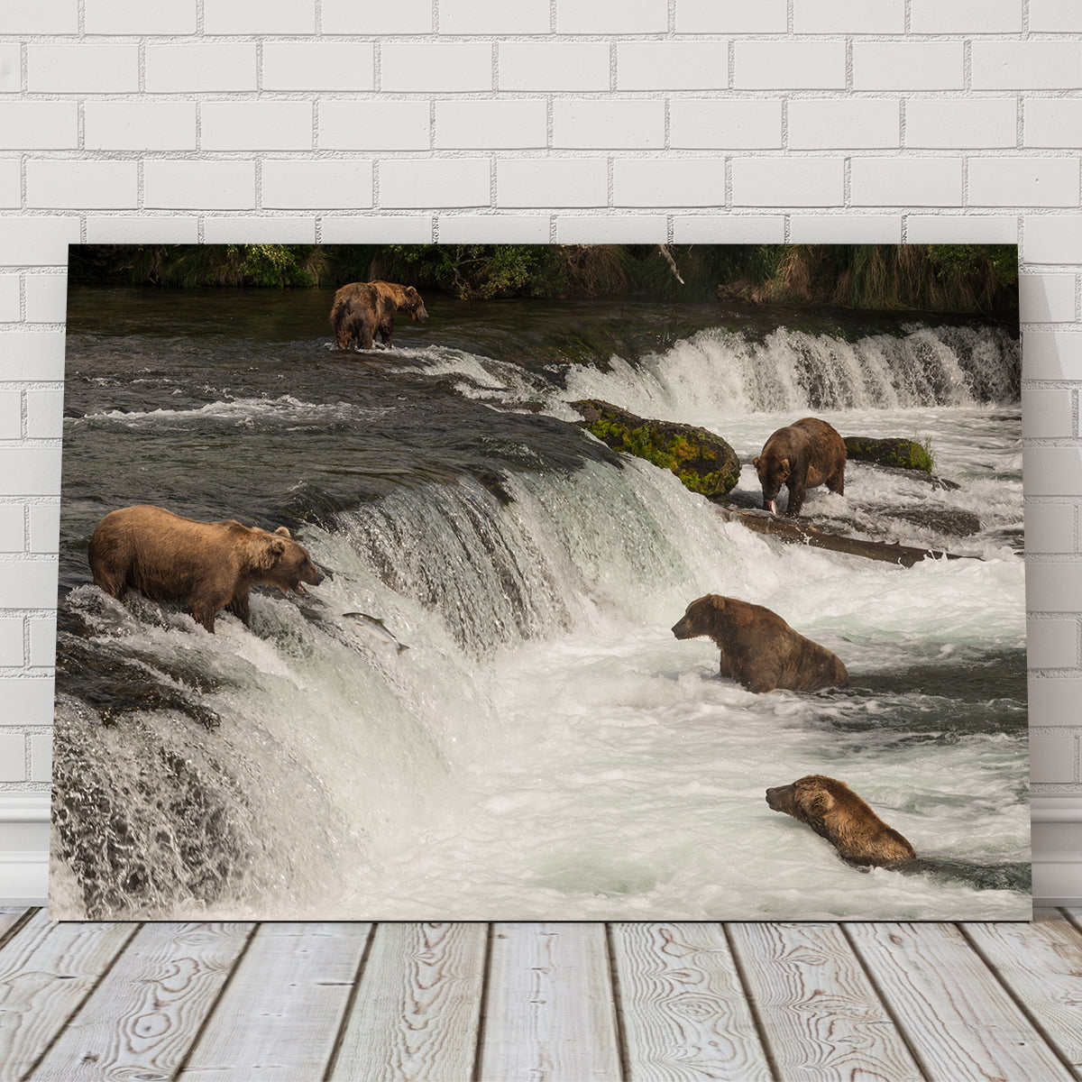 Five Bears Salmon Fishing Wall Art