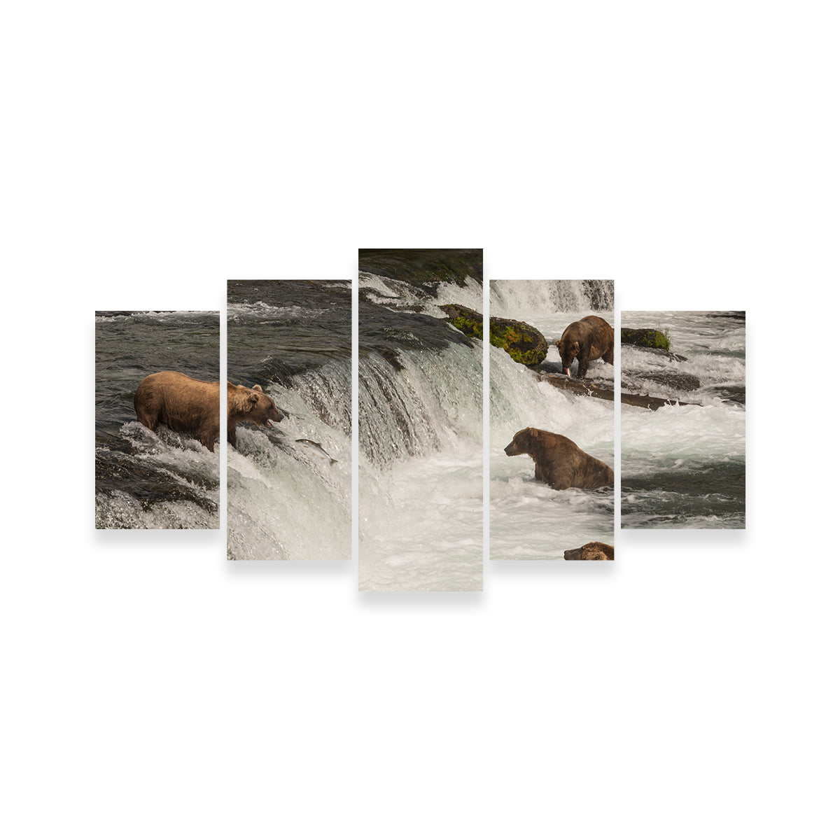 Five Bears Salmon Fishing Wall Art