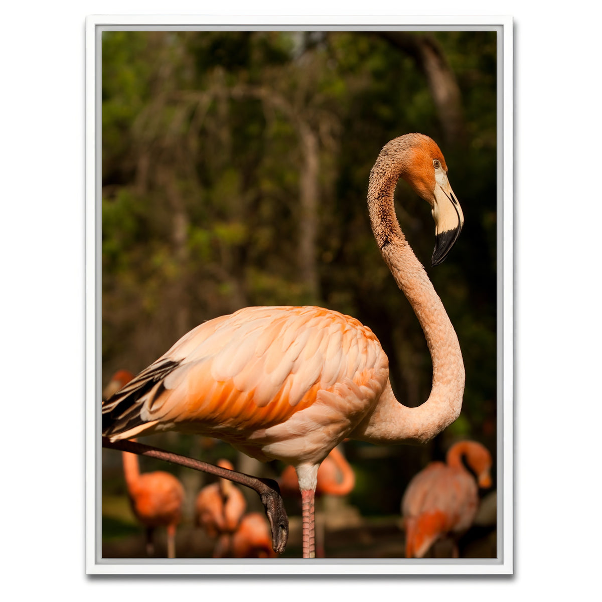 AUTO-MOCKUP WHITE | Flamingo acrobat | 1 Piece | White Framed Canvas | group=3x4
