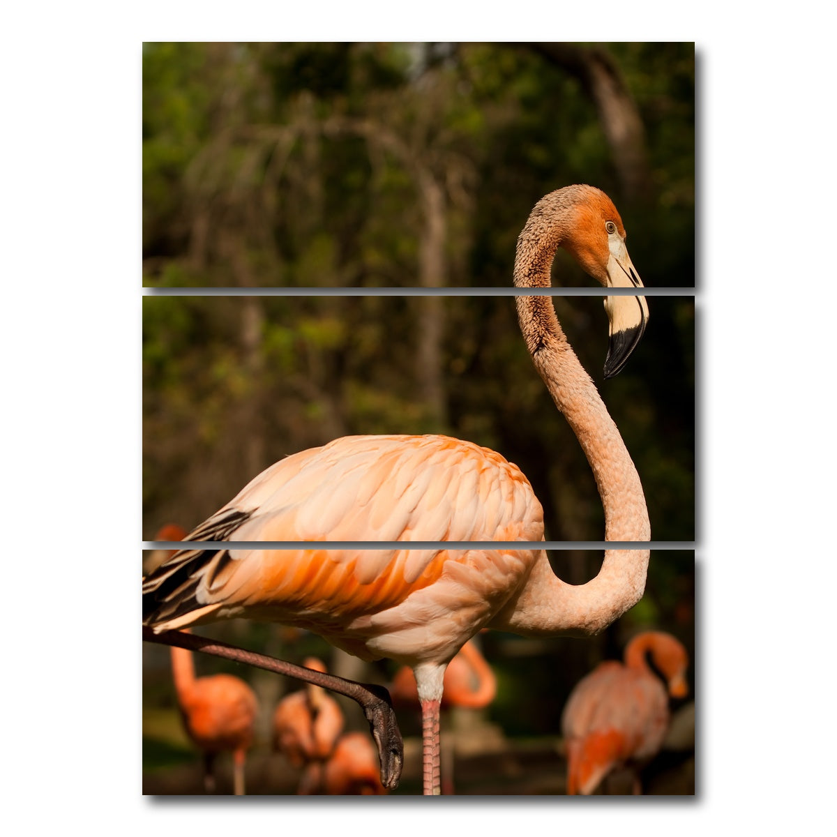 AUTO-MOCKUP WHITE | Flamingo acrobat | 3 Piece | Gallery Wrap Canvas | group=8x18_stacked