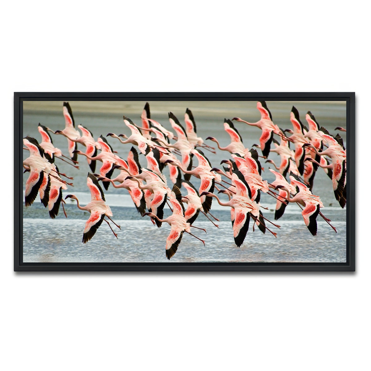 AUTO-MOCKUP WHITE | Flamingo's in Tanzania | 1 Piece | Black Framed Canvas | group=2x1