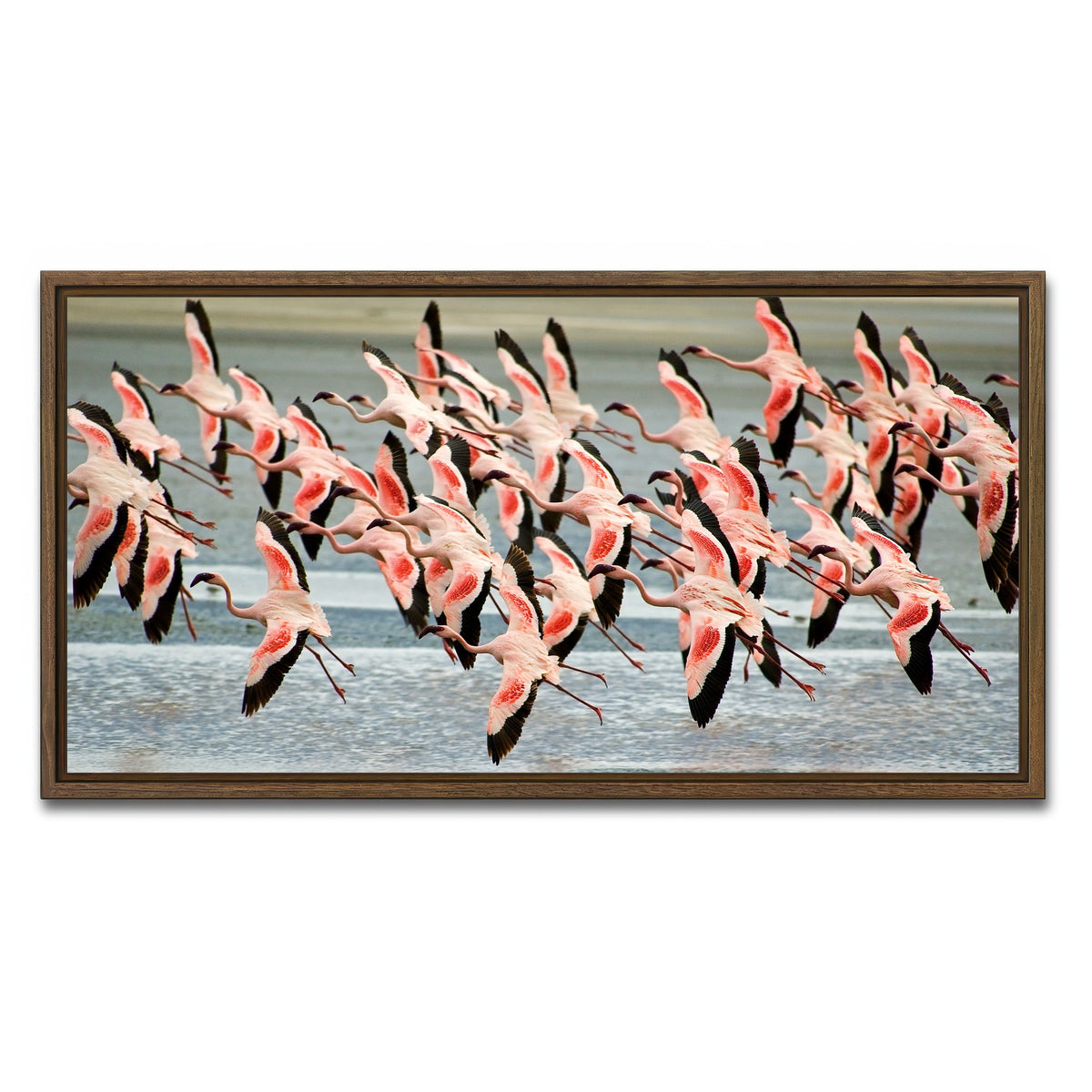 AUTO-MOCKUP WHITE | Flamingo's in Tanzania | 1 Piece | Walnut Framed Canvas | group=2x1