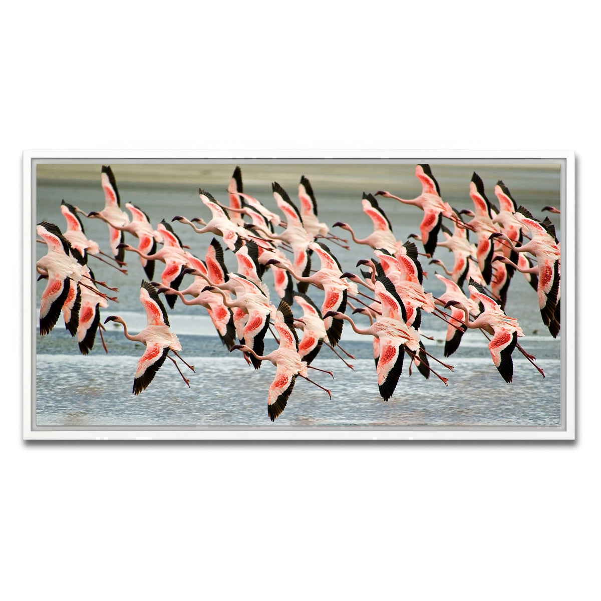 AUTO-MOCKUP WHITE | Flamingo's in Tanzania | 1 Piece | White Framed Canvas | group=2x1