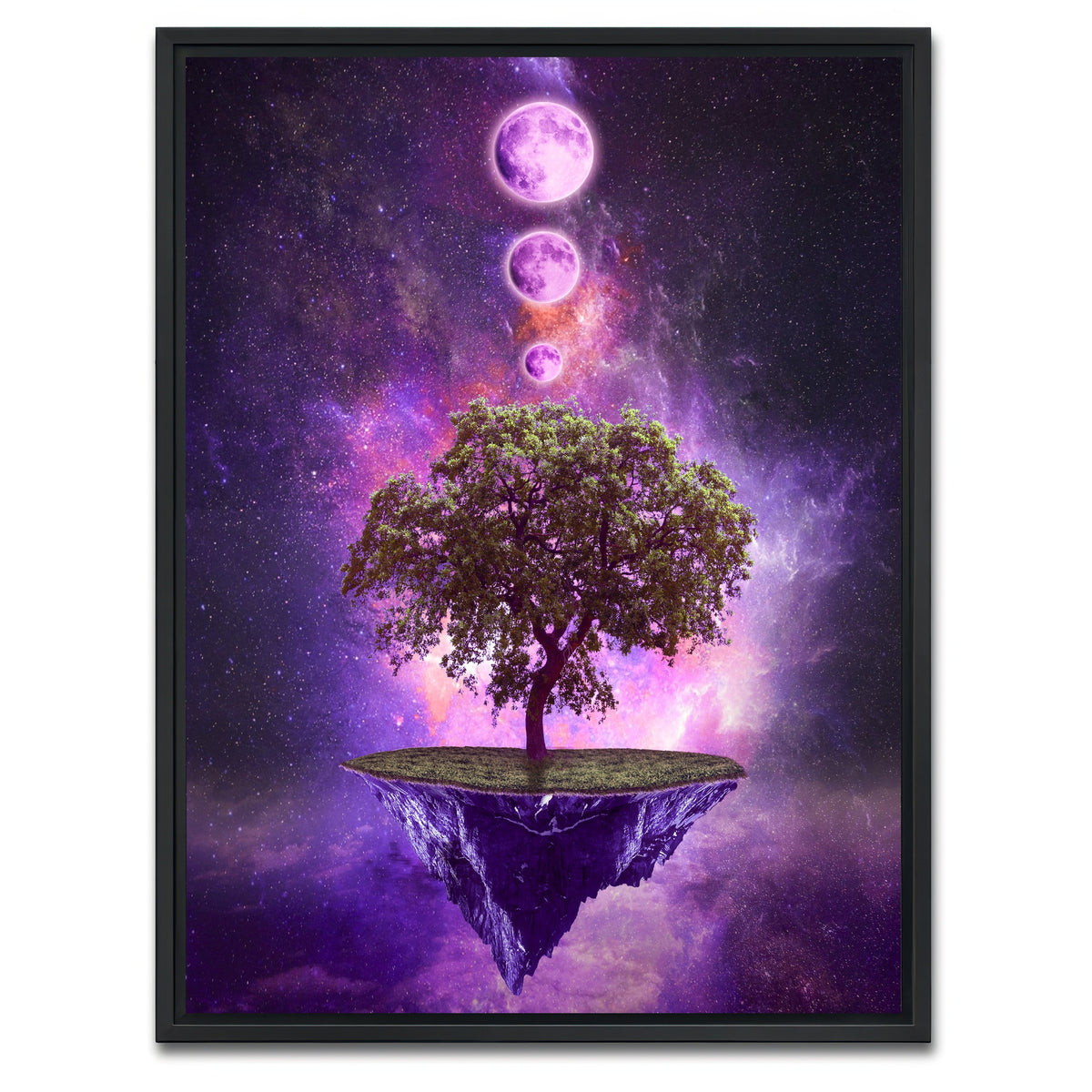 AUTO-MOCKUP WHITE | Floating Island In Space | 1 Piece | Black Framed Canvas | group=3x4