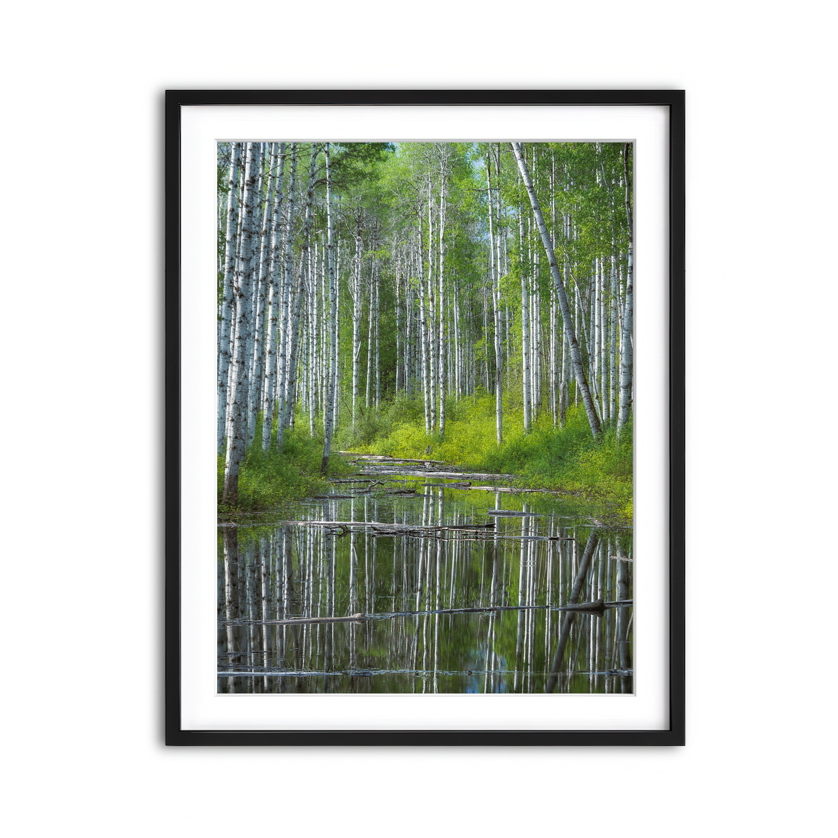 Framed Print 3x4 Black