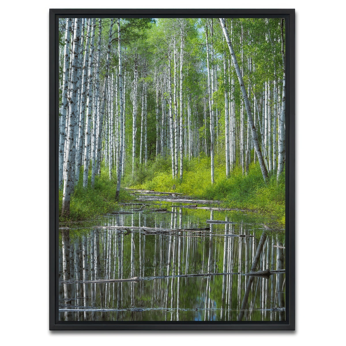 AUTO-MOCKUP WHITE | Flooded Grove | 1 Piece | Black Framed Canvas | group=3x4