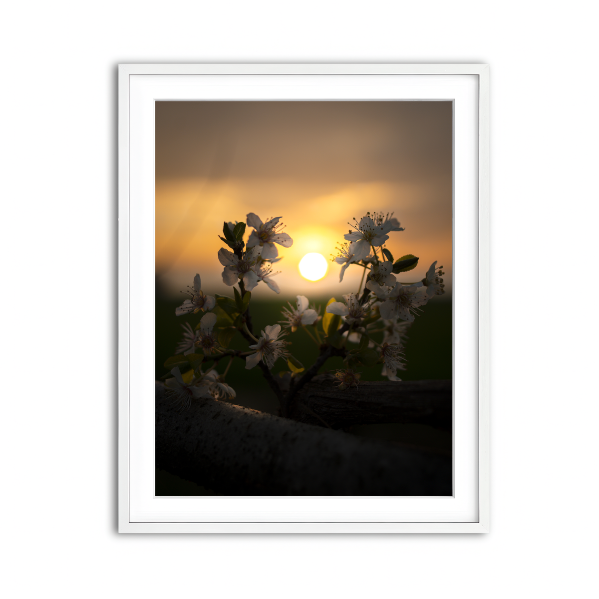 Framed Print 3x4 White