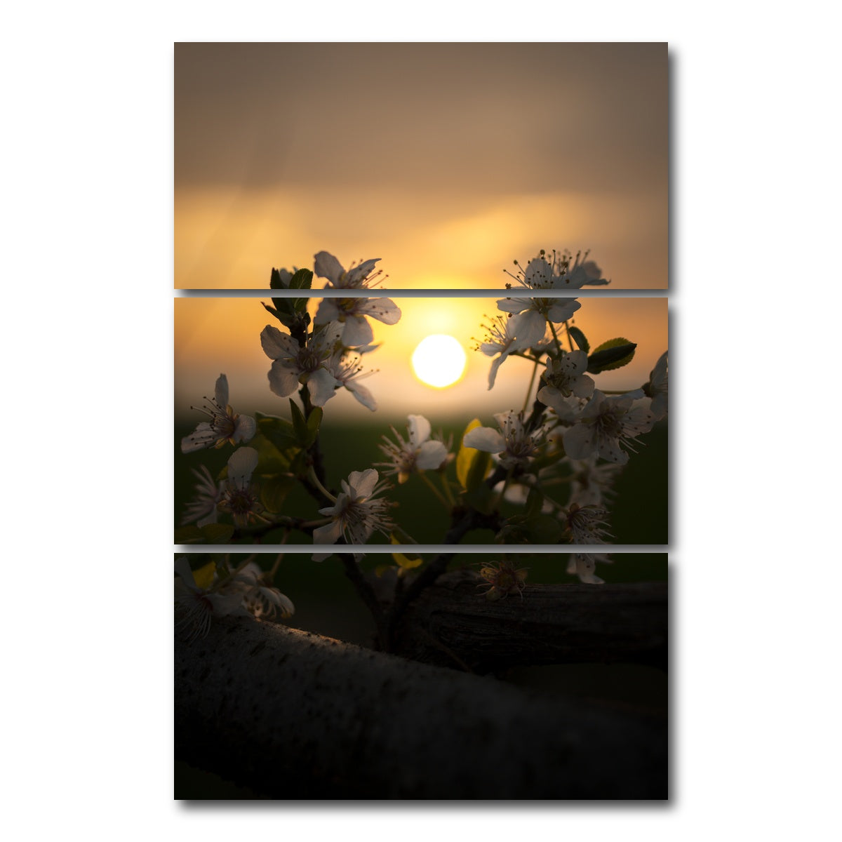 AUTO-MOCKUP WHITE | Floral Sunset | 3 Piece | Gallery Wrap Canvas | group=12x24_stacked