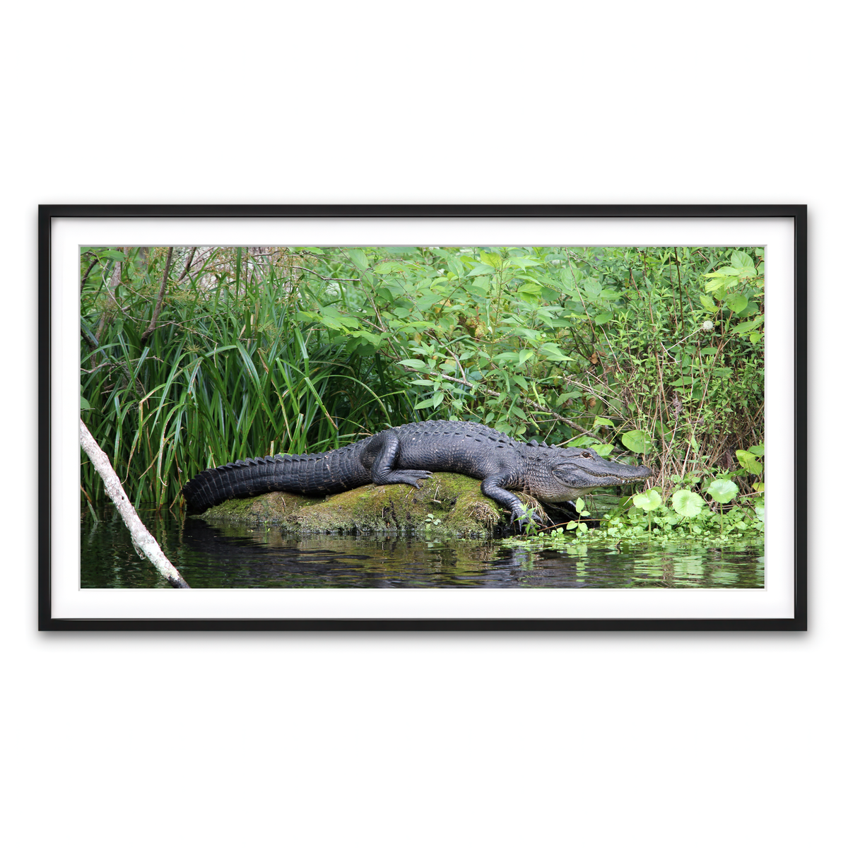 Framed Print 2x1 Black