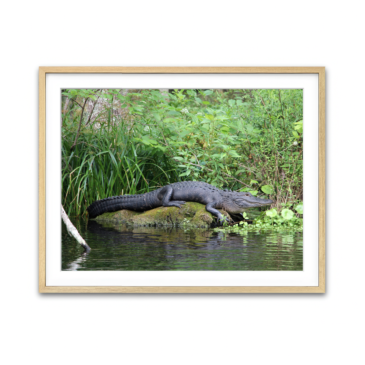 Framed Print 4x3 Natural