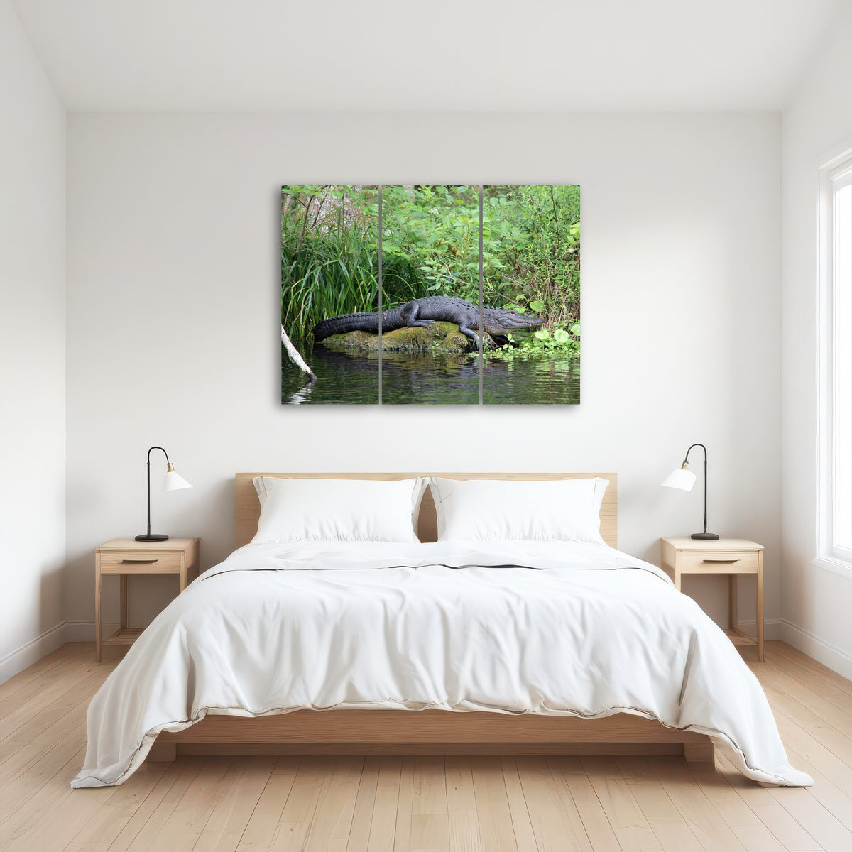 AUTO-MOCKUP ROOM | Florida Alligator - Silver Springs State Park