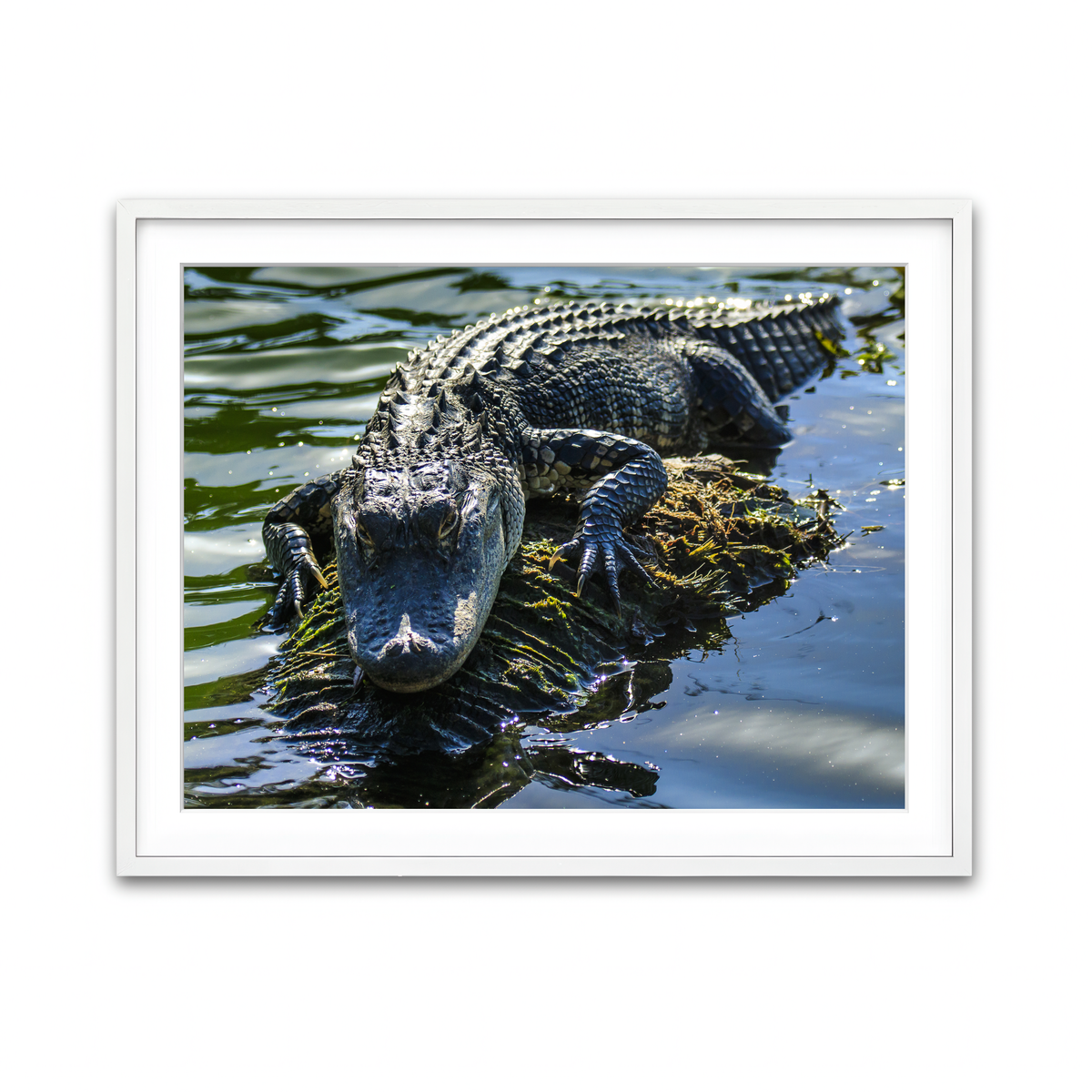 Framed Print 4x3 White