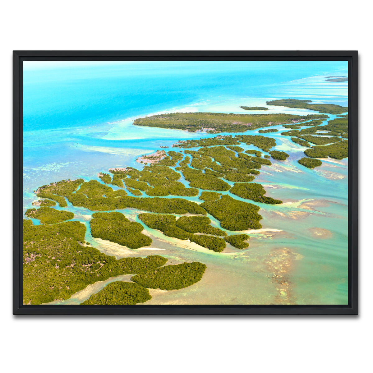 AUTO-MOCKUP WHITE | Florida Keys | 1 Piece | Black Framed Canvas | group=4x3