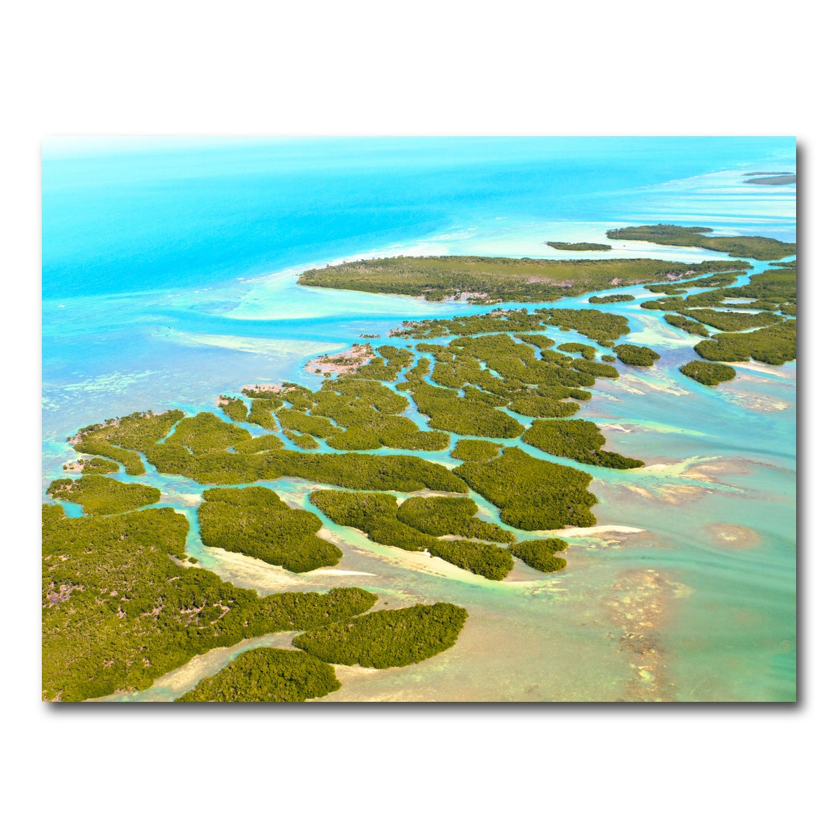 AUTO-MOCKUP WHITE | Florida Keys | 1 Piece | Gallery Wrap Canvas | group=4x3