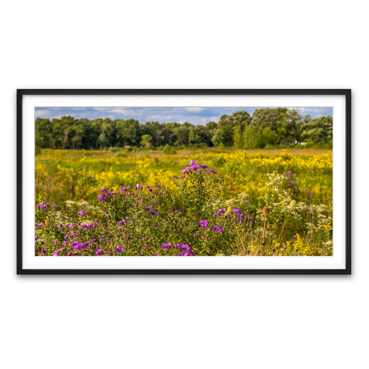 Framed Print 2x1 Black