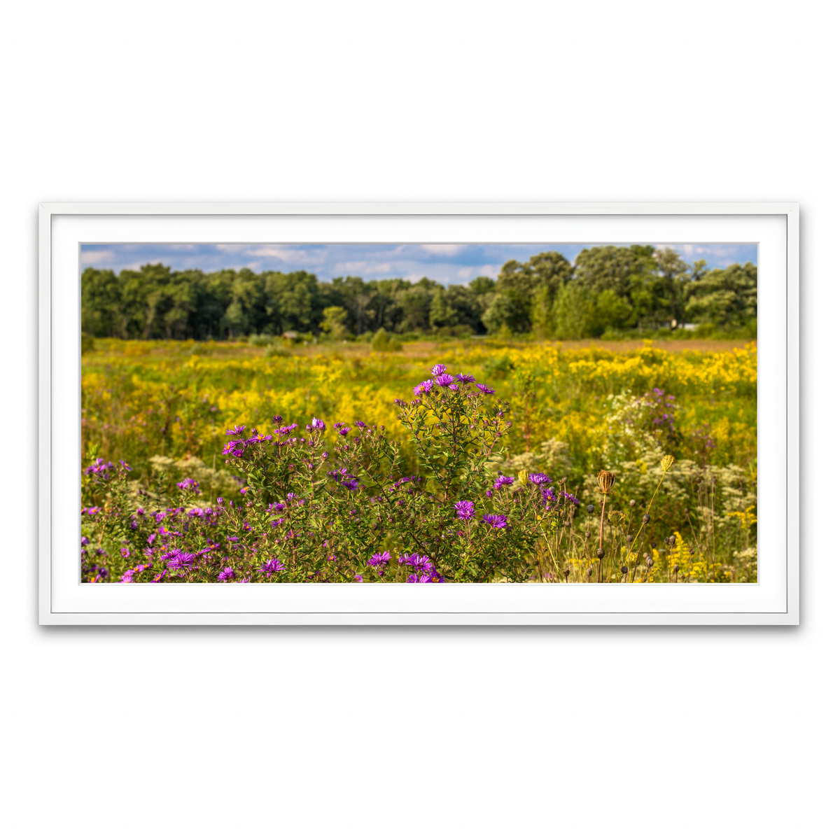 Framed Print 2x1 White