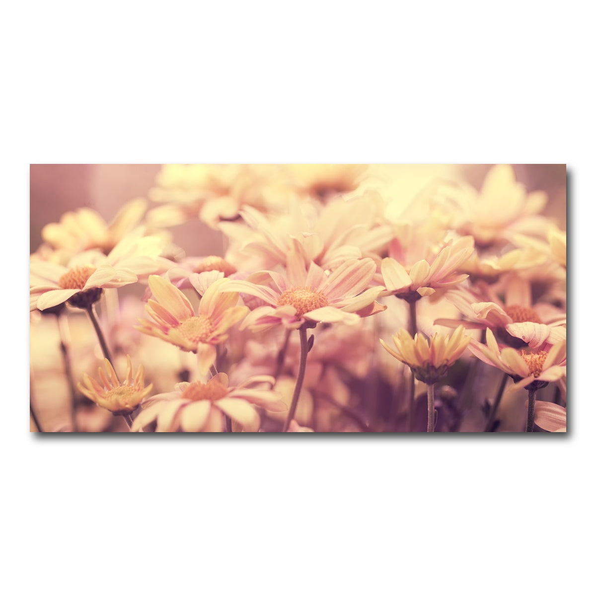 AUTO-MOCKUP WHITE | Flowers at Sunset | 1 Piece | Gallery Wrap Canvas | group=2x1