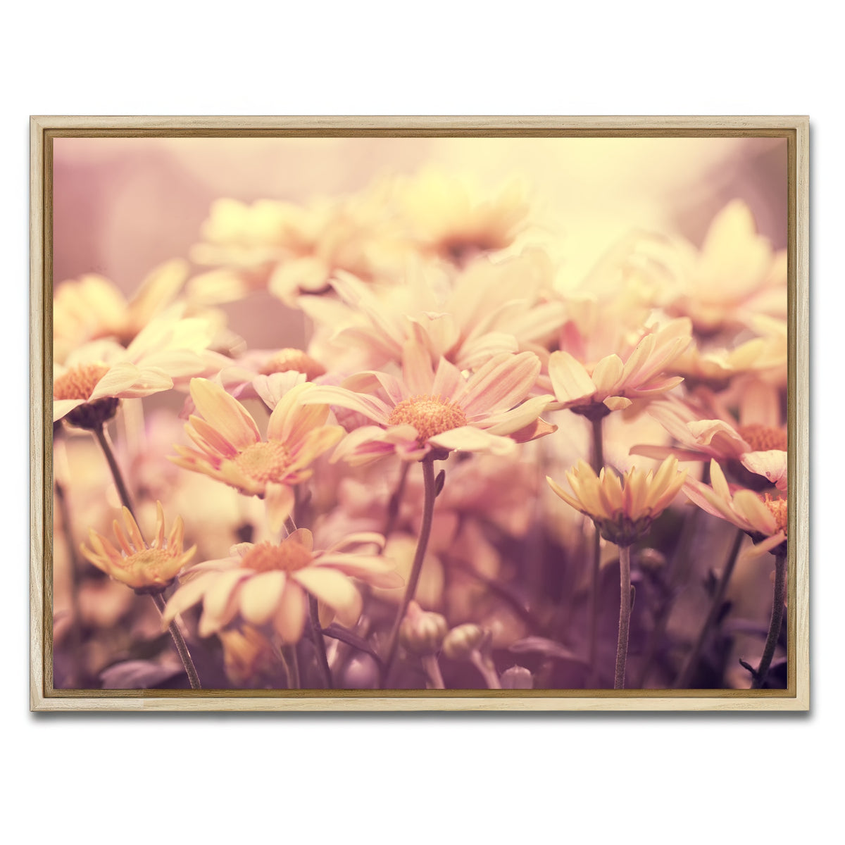 AUTO-MOCKUP WHITE | Flowers at Sunset | 1 Piece | Natural Framed Canvas | group=4x3