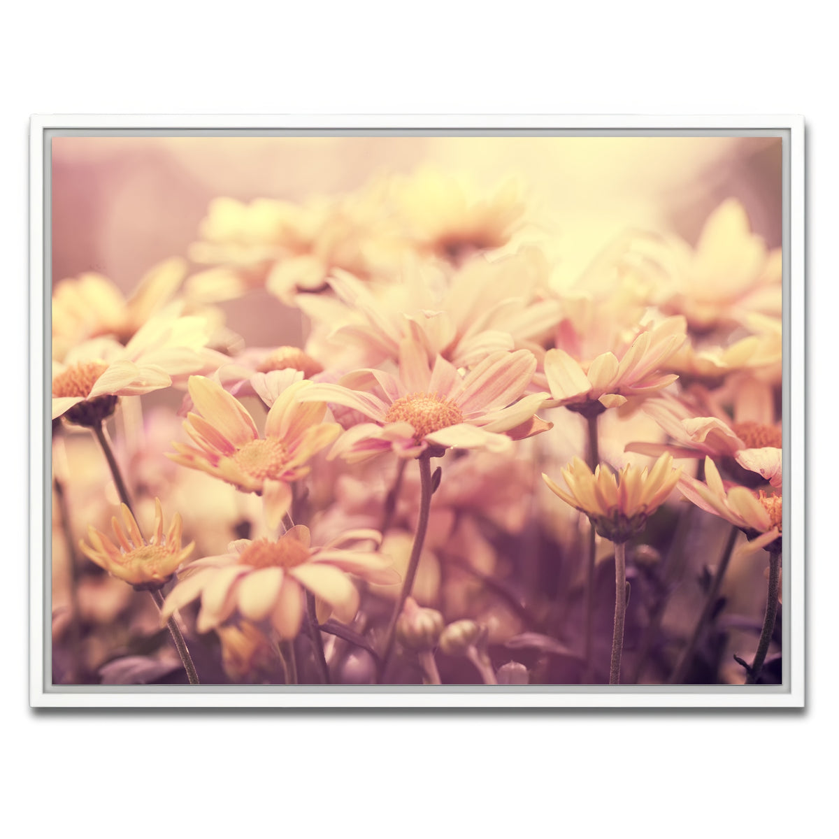 AUTO-MOCKUP WHITE | Flowers at Sunset | 1 Piece | White Framed Canvas | group=4x3