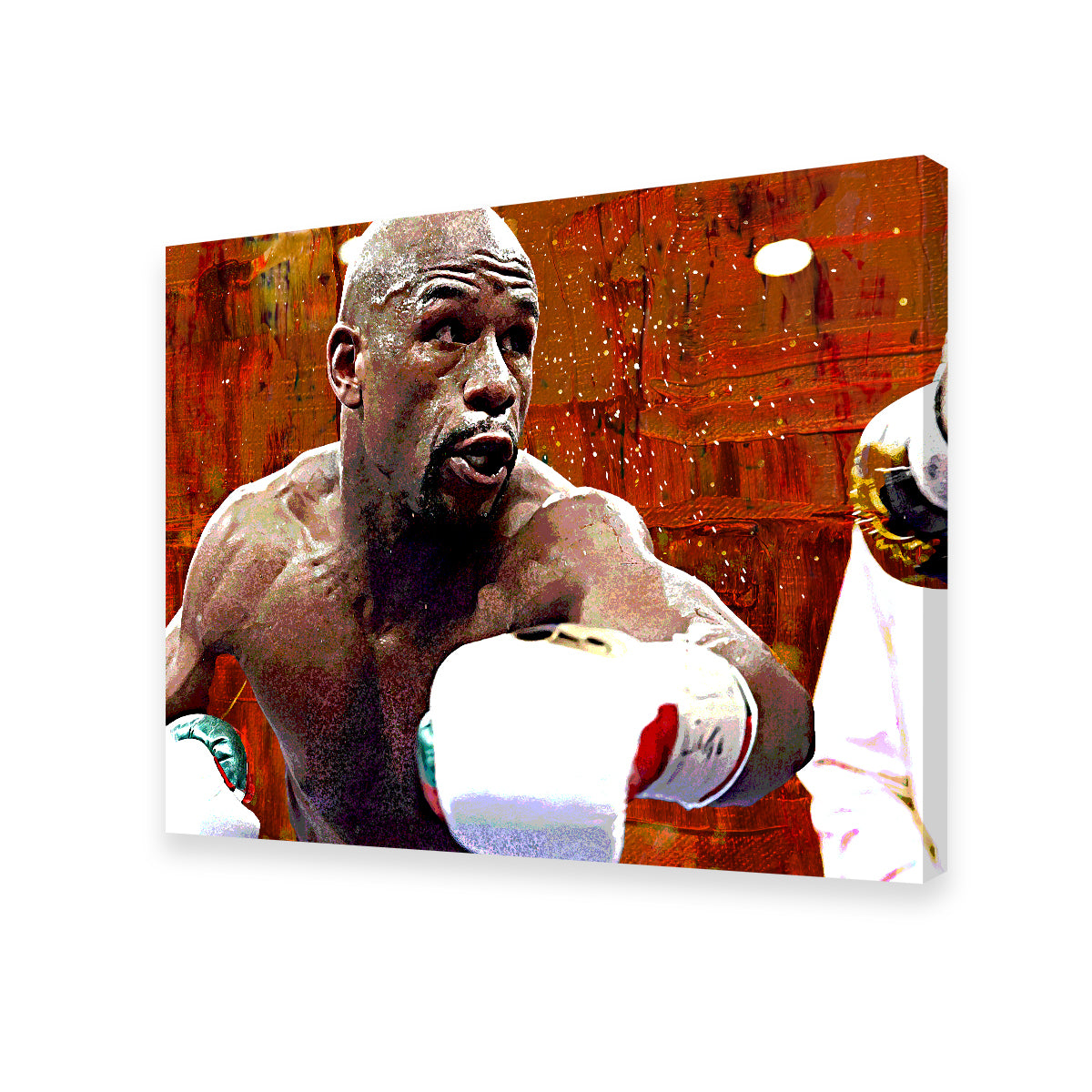 Floyd Mayweather Jr. Wall Art