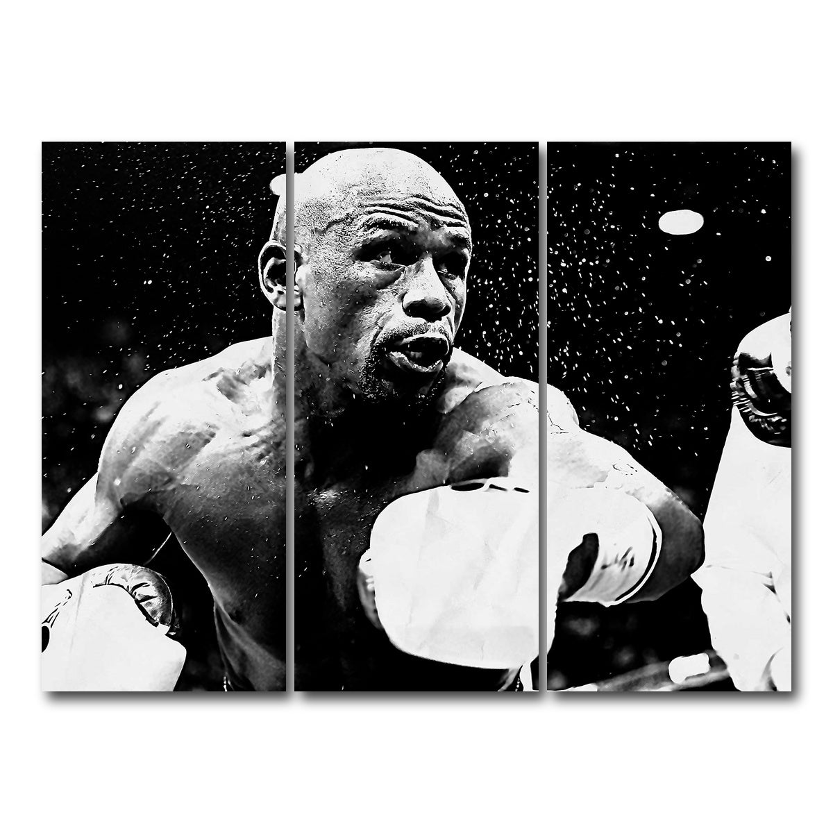 AUTO-MOCKUP WHITE | Floyd Mayweather Jr. Grayscale | 3 Piece | Gallery Wrap Canvas | group=8x18
