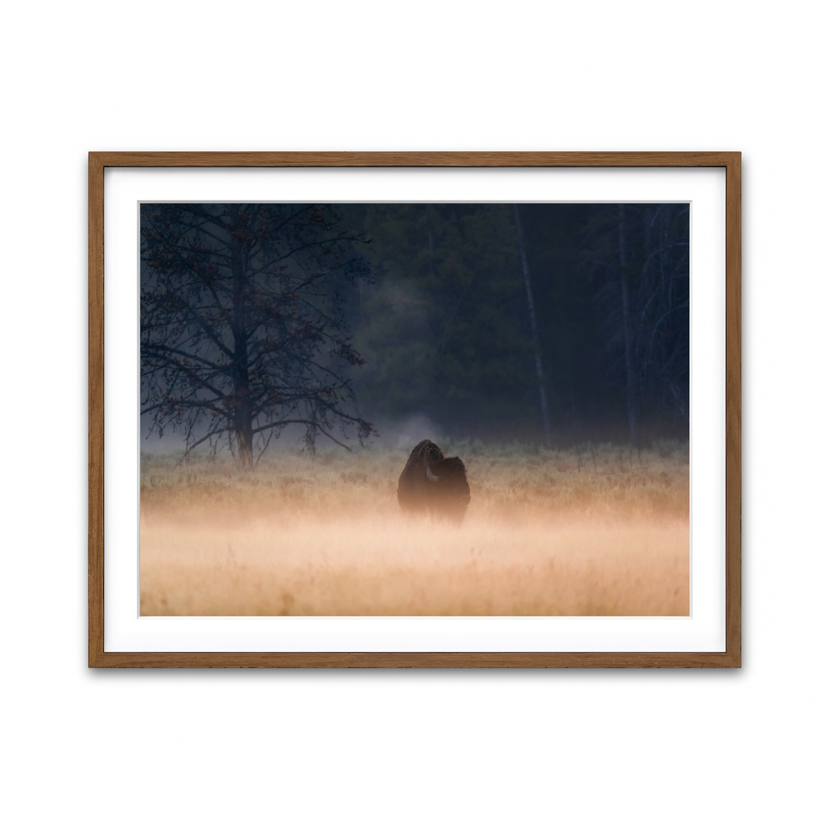 Framed Print 4x3 Walnut