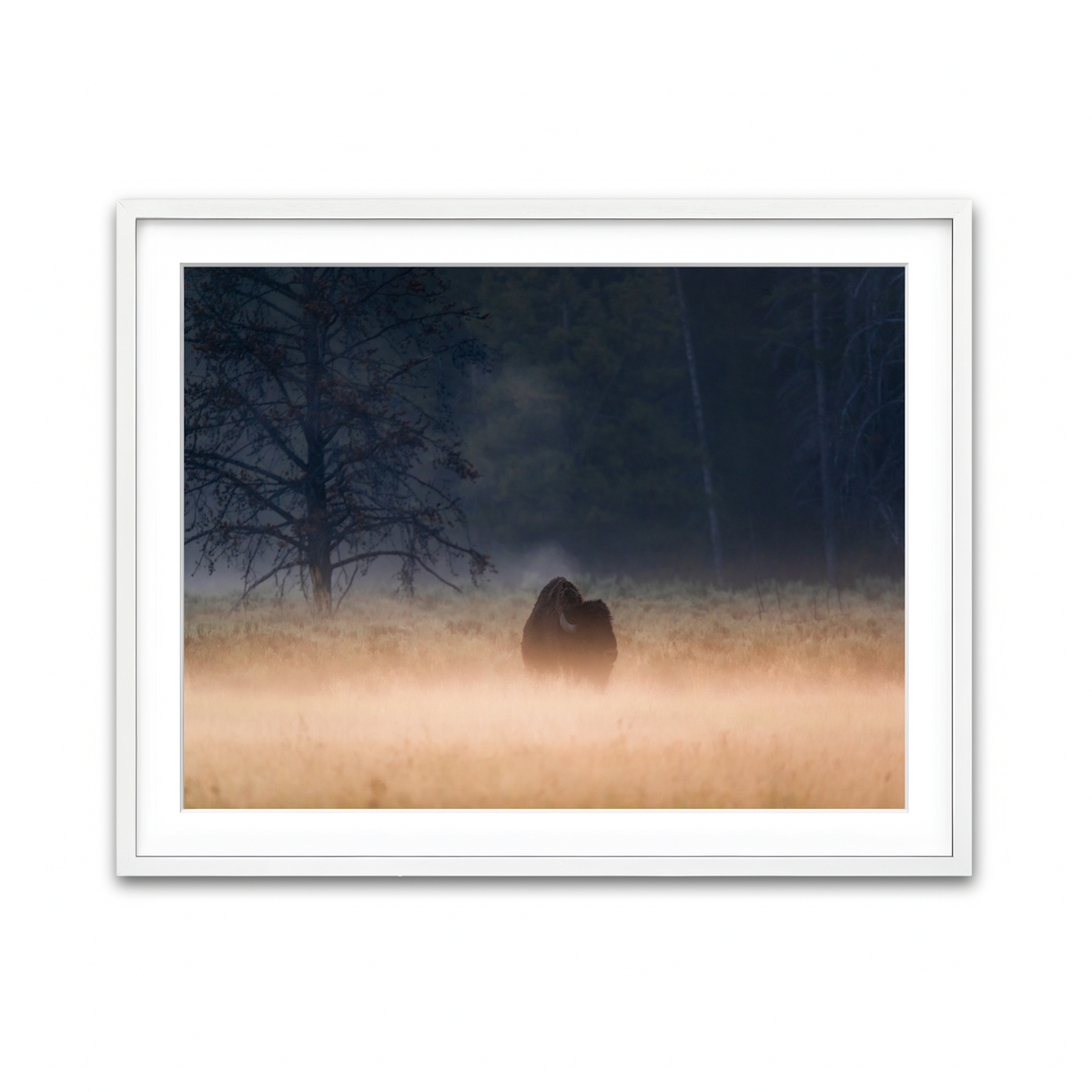 Framed Print 4x3 White