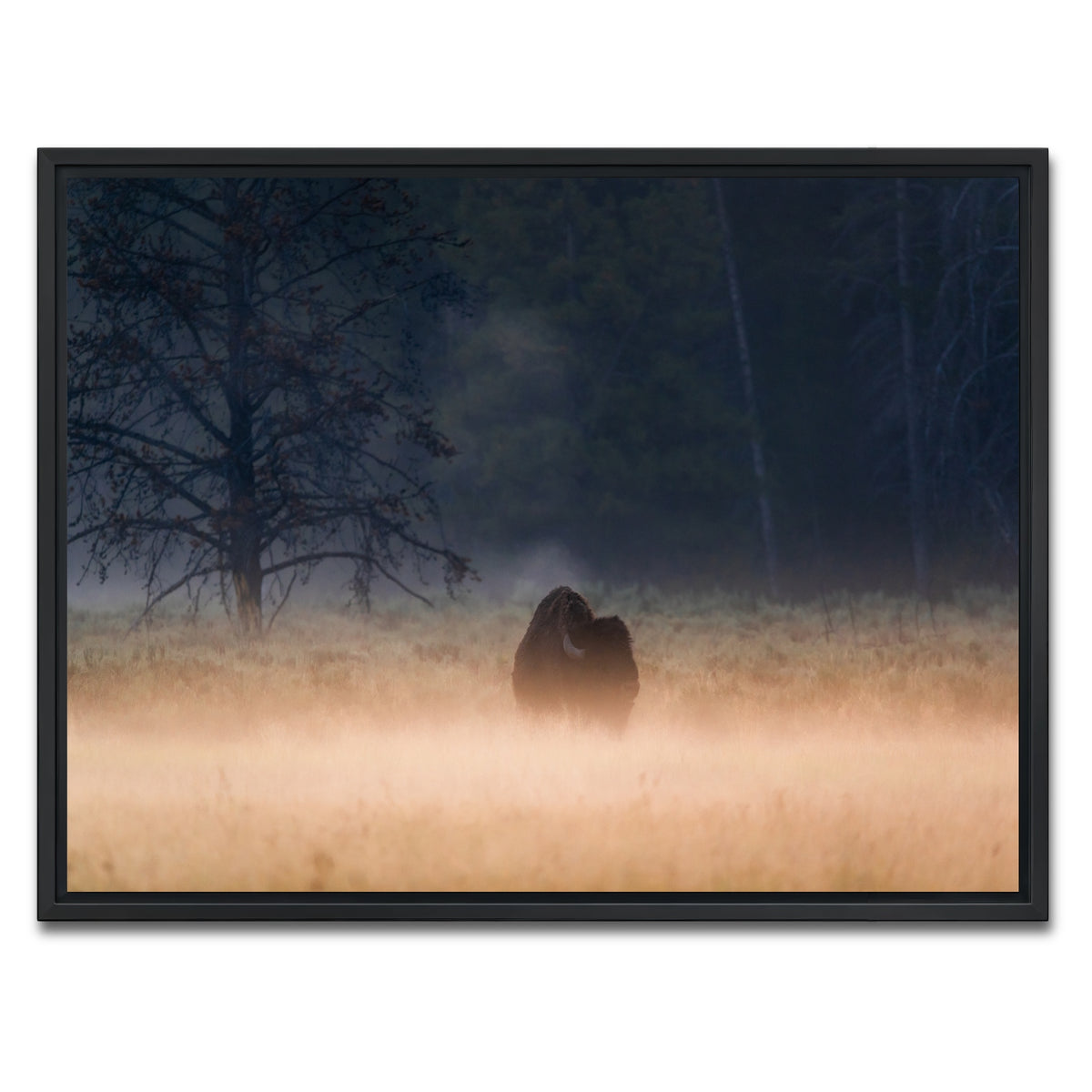 AUTO-MOCKUP WHITE | Foggy Morning | 1 Piece | Black Framed Canvas | group=4x3
